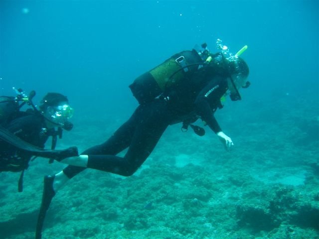 Barra Lodge Diving 2006 058.jpg