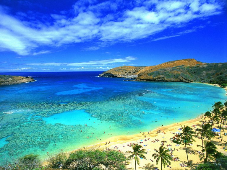 Maui-Island-Hawaii.jpg