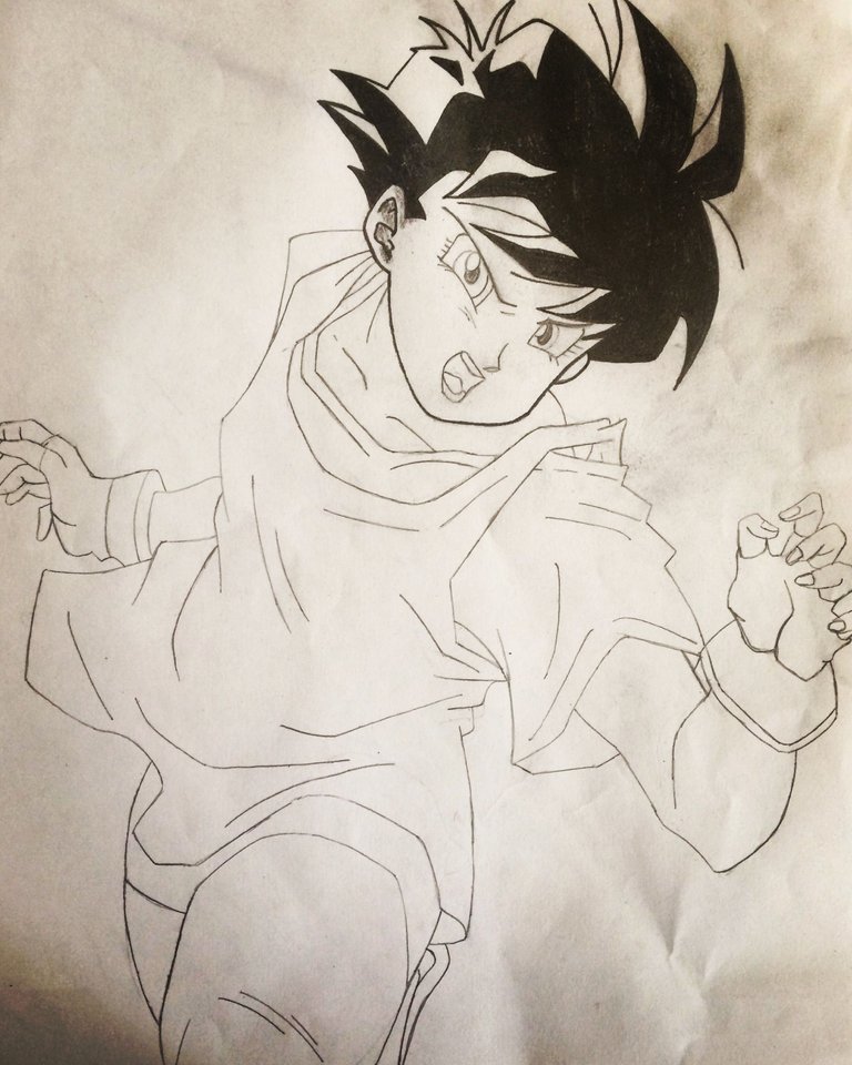 videl 9.JPG