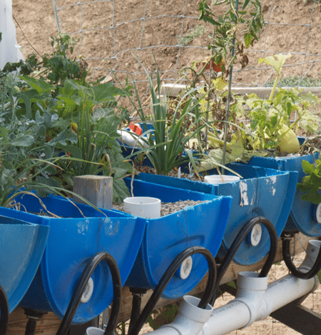 barrel-projects-hydroponics.png