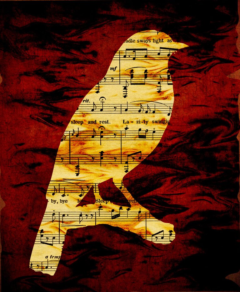 musical-notes-bird-silhouette.jpg