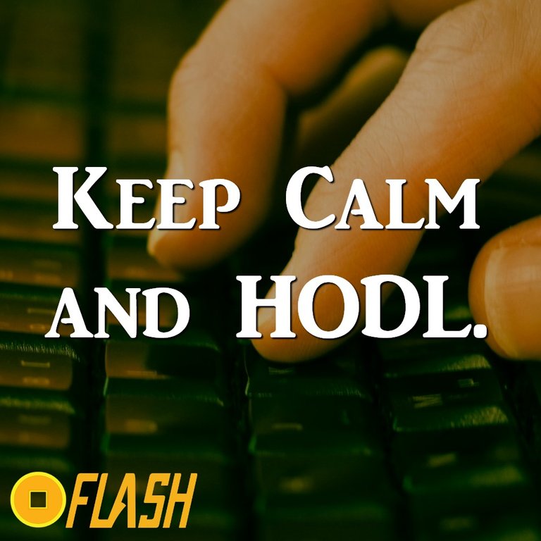 Flashcoin-image127.jpg