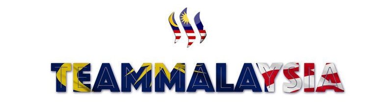 teammalaysia.jpg