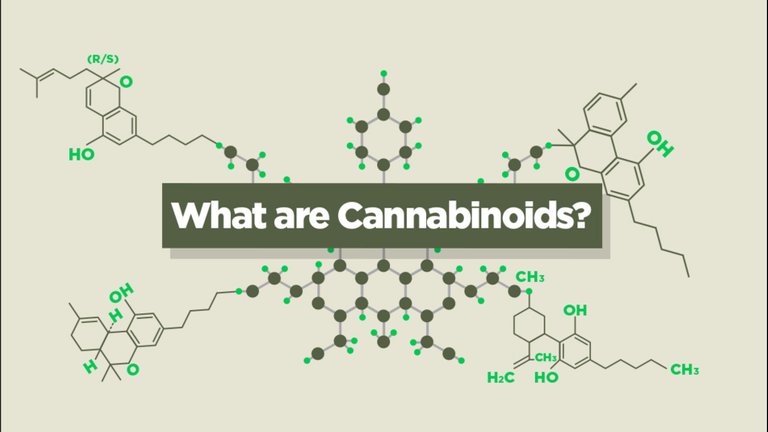 what-are-cannabinoids-top-10-cannabinoids-and-what-they-do.jpg