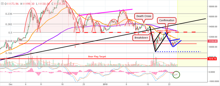 Beers are watching (BTC).png