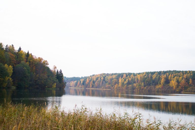 Autumn in Lithuania 4.jpg