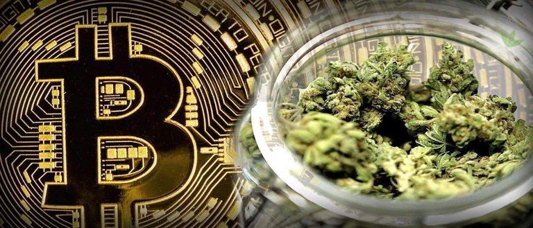 bitcoin-could-revolutionize-how-cannabis-industry-does-business.jpg