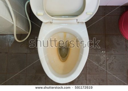 stock-photo-dirty-toilet-in-a-house-591172619.jpg