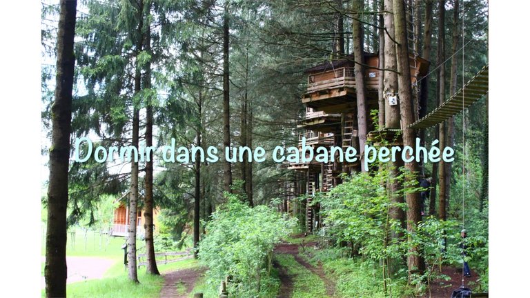 Cabane dans les arbres à Cublize.jpg