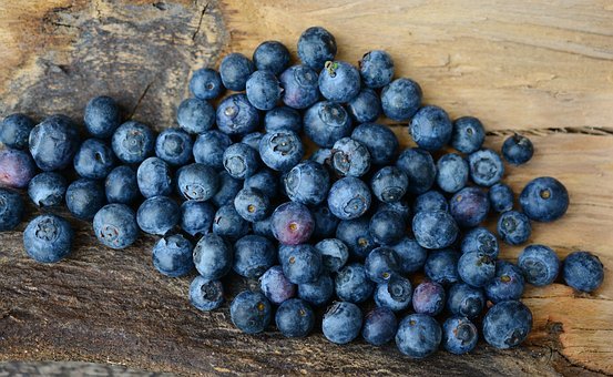 blueberries-2270379__340.jpg