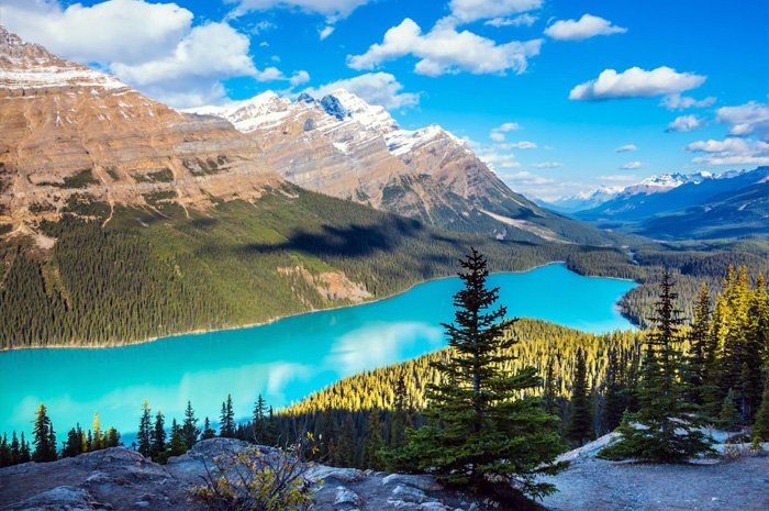 Peyto-Lake.jpg