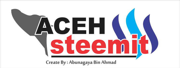 Logo Steemit Aceh.png