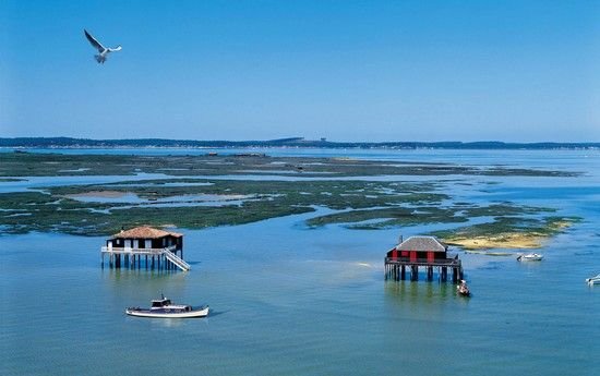 balade_en_bateau_arcachon.jpg