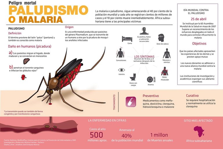 Infografía-sobre-el-Paludismo.jpg