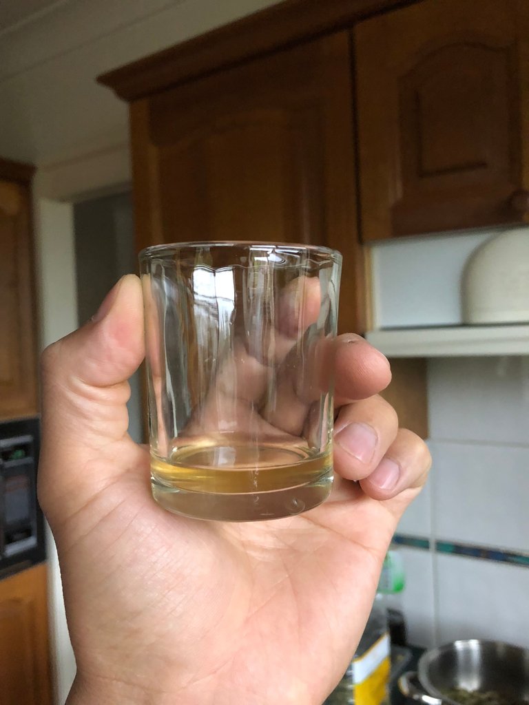 Tasting Kombucha