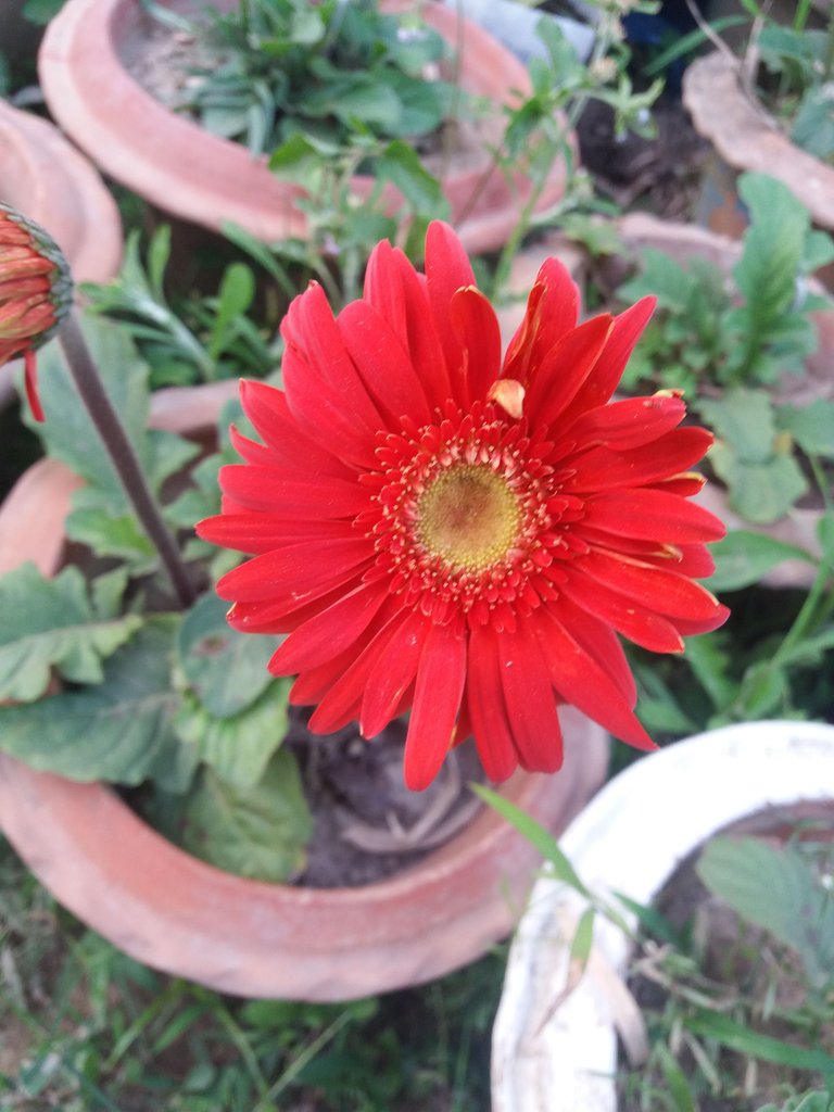 20180309_171657.jpg