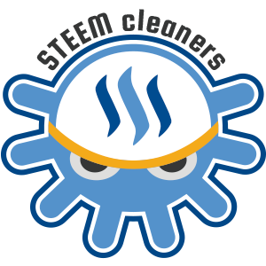 steemcleaners-logo05.png