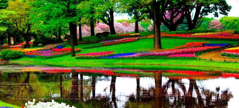 keukenhof_2_1680x770-1509086991.jpg