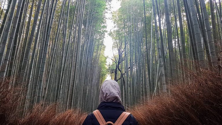 arashiyama-8.jpg