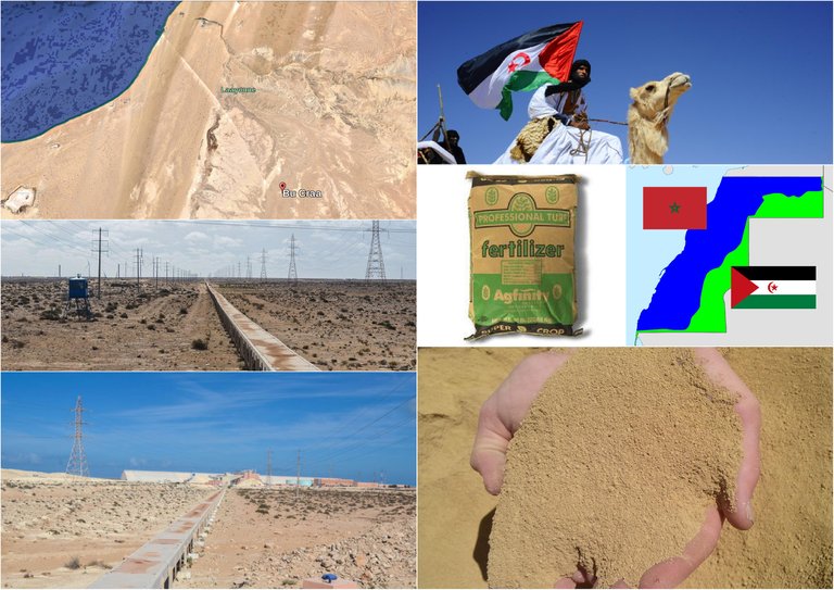 western sahara collage