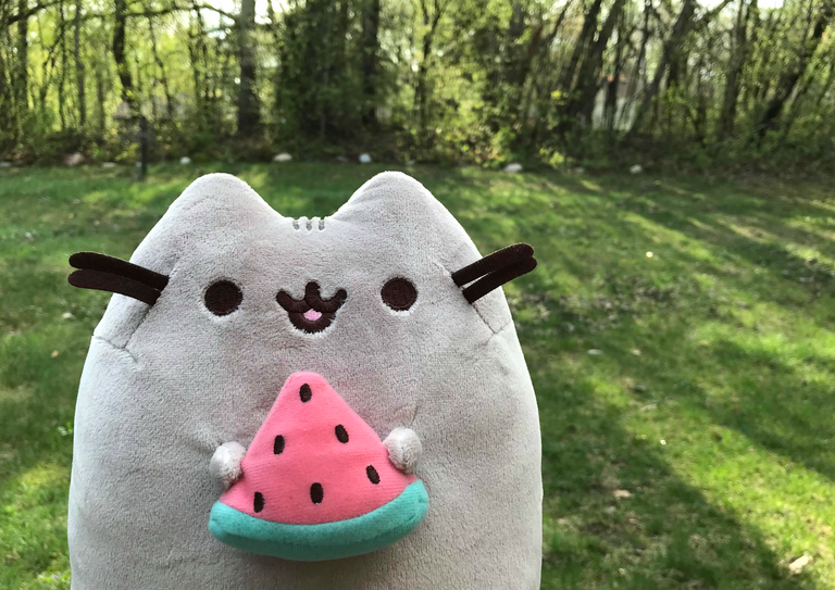 pusheen watermellon1.png