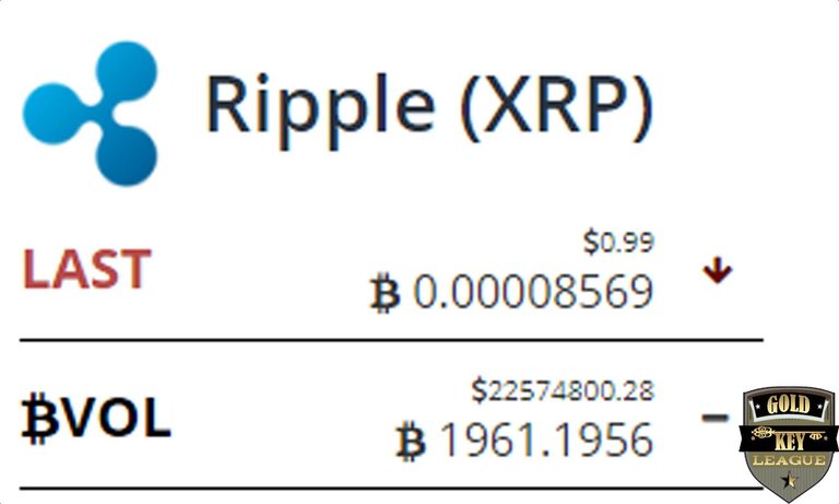 XRP1800305_TightCrop copy.jpg