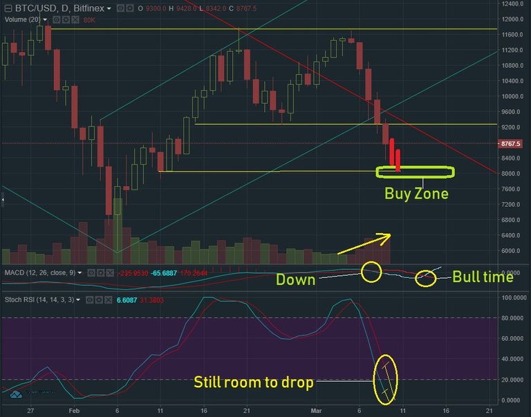 March 9 BTC T&A2.jpg