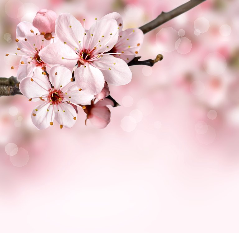 A1B000F7-2499-454D-AB7B-4562E39B78D3.jpeg