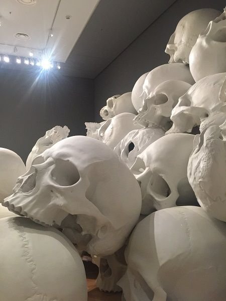 skull room 2.jpg