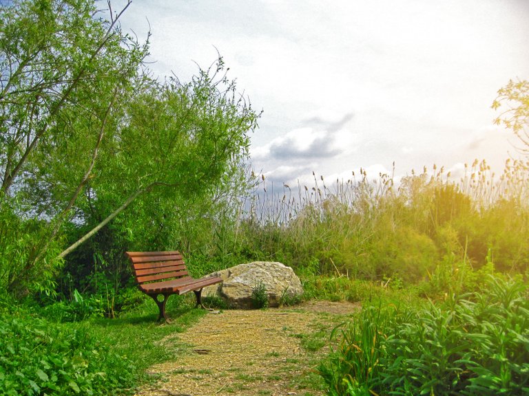 Ein Afek Nature Reserve