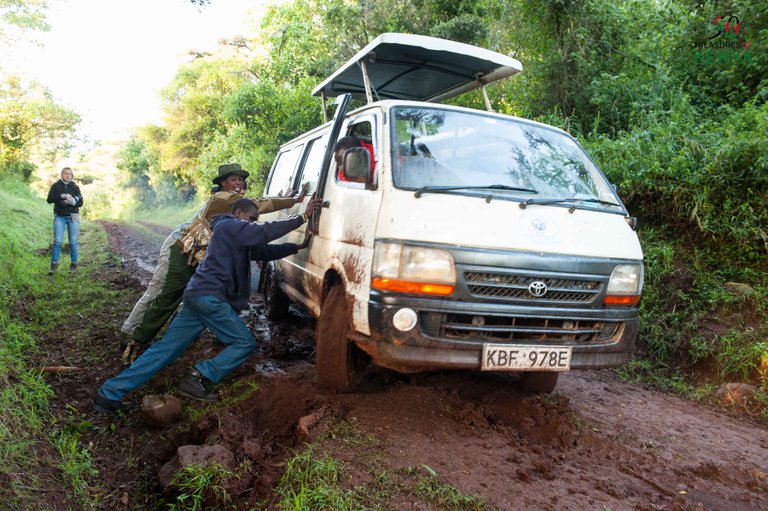 fiebig-mt-elgon-6797.jpg