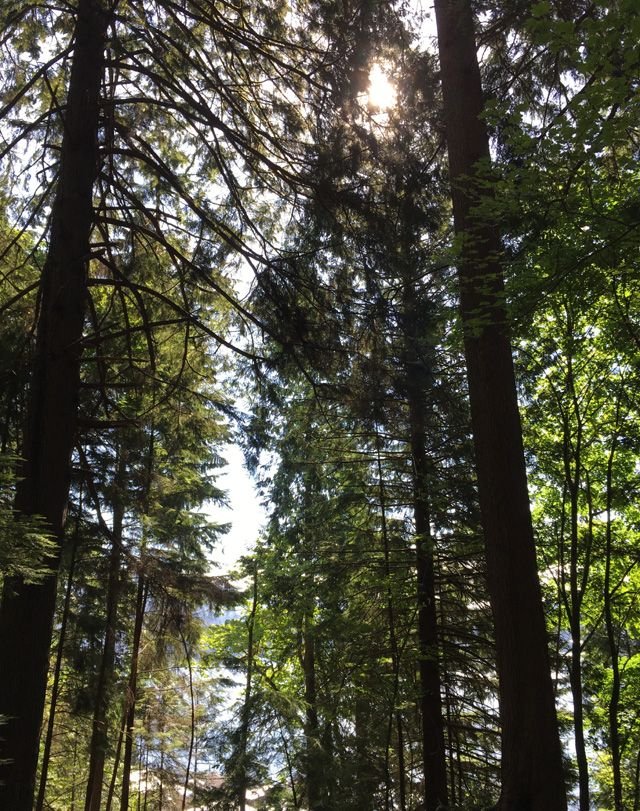 vancouver-quarry-rock-640x811.jpg