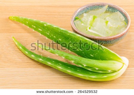 stock-photo-aloevera-natural-spas-ingredients-for-skin-care-264529532.jpg