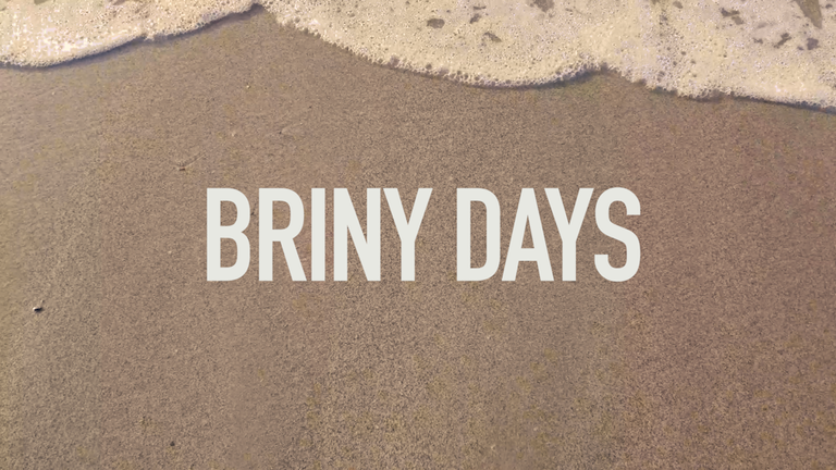 BRINY_DAYS-COVER2.png