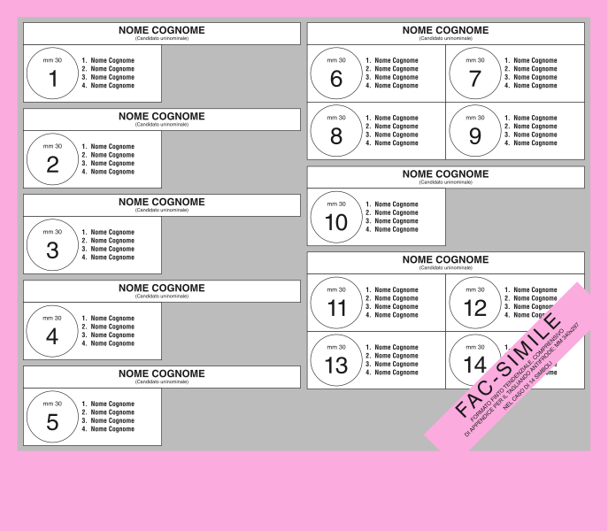 687px-Rosatellum's_voting_paper.png