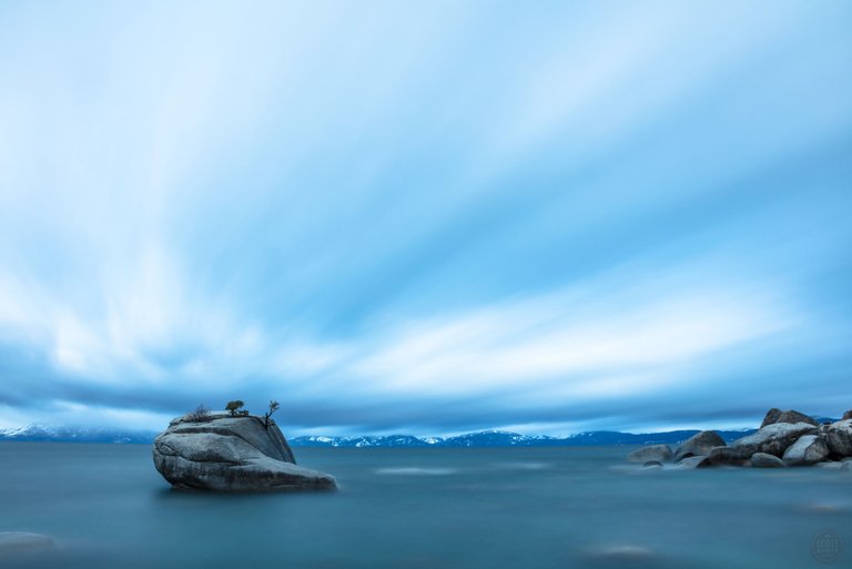 Bonsai Rock Morning 1.jpg