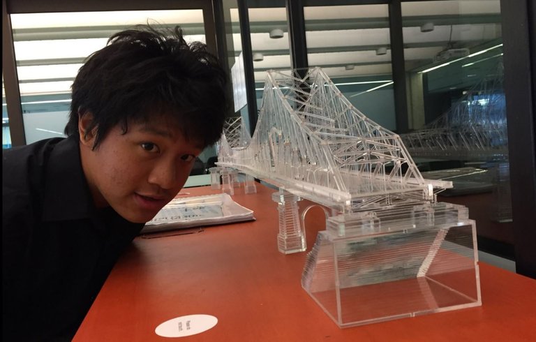 3d printed bridge.JPG