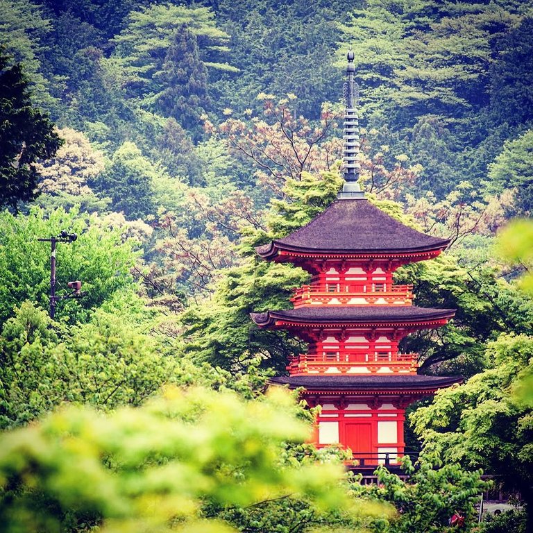 _japan__kyoto__kiyomizudera_May_18__2016_at_0950PM.jpg