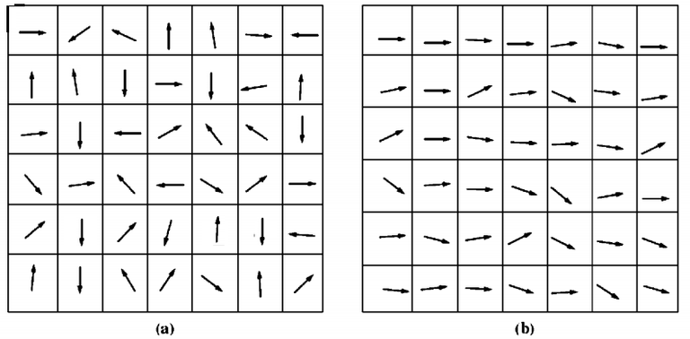 magnetic domain.png