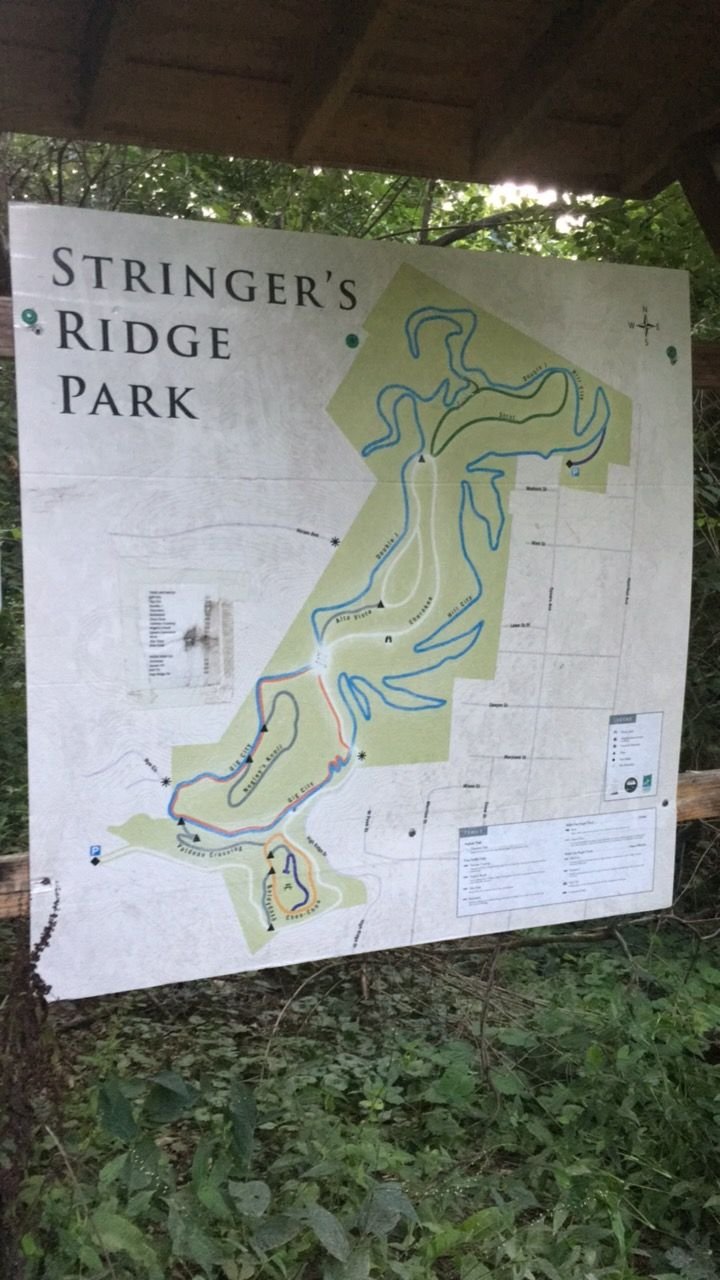 adv 5 stringers ridge 1.JPG