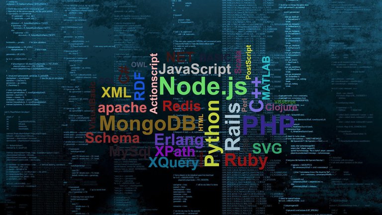 which-programming-language-should-you-learn-1.jpg