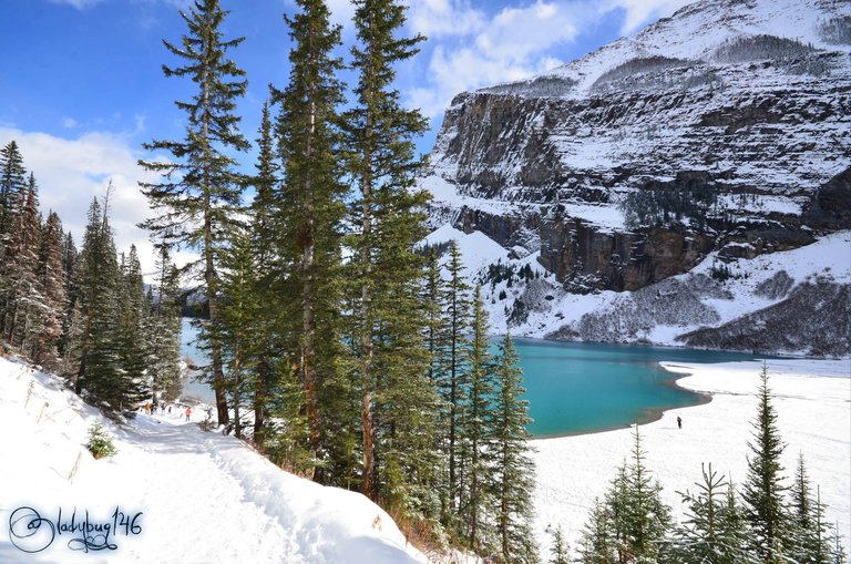 lake louise6.jpg