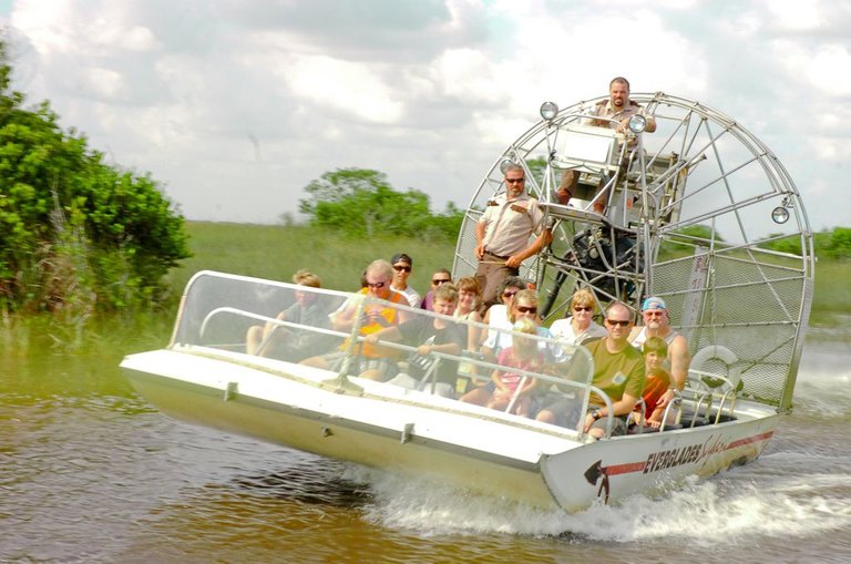 The Everglades2_topfactro.jpg