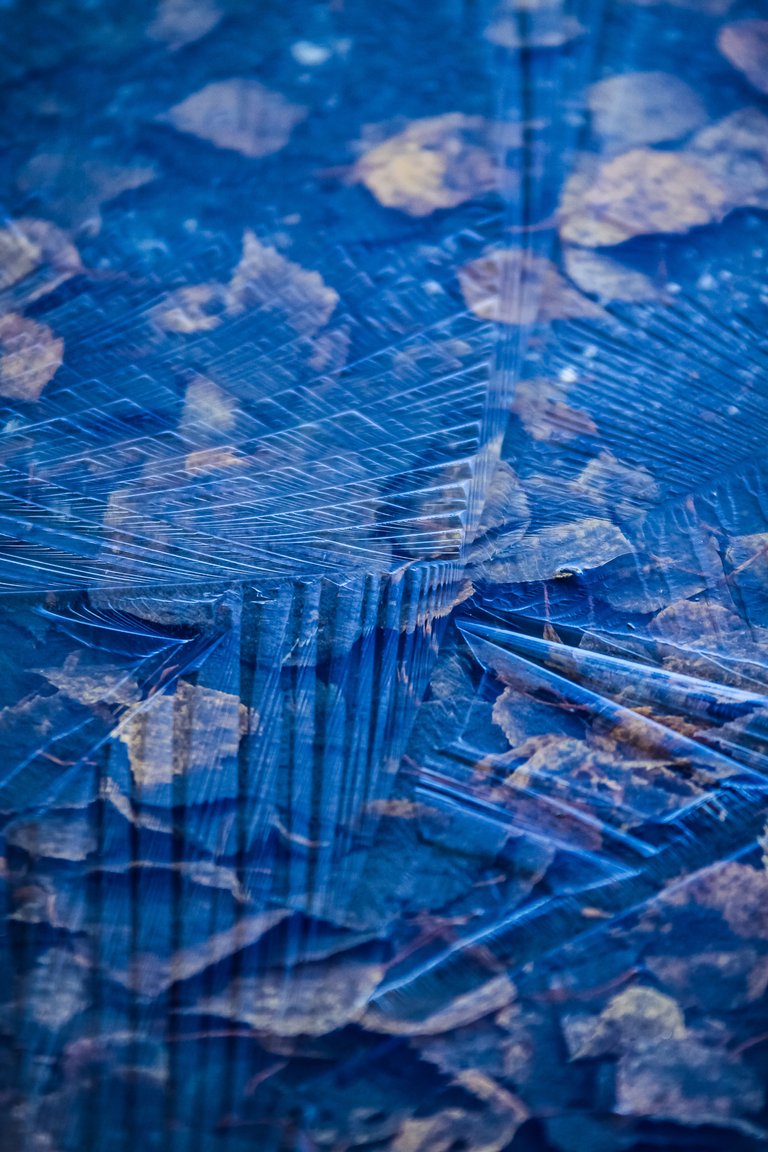 Ice Puddle.jpg