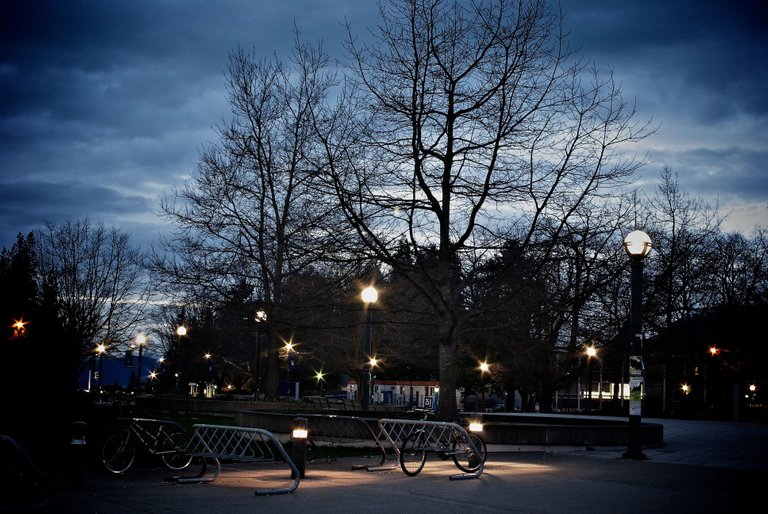 UBC library.JPG