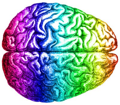 Rainbow_brain,_Aug_2014-.jpg