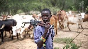 fulani 1.jpg