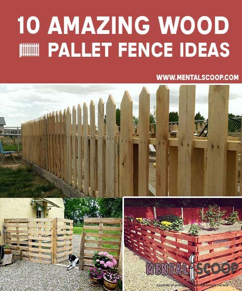 10-Amazing-Wood-Pallet-Fence-Ideas1.jpg