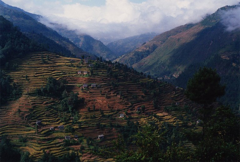 terraces-mt-everest-web.jpg