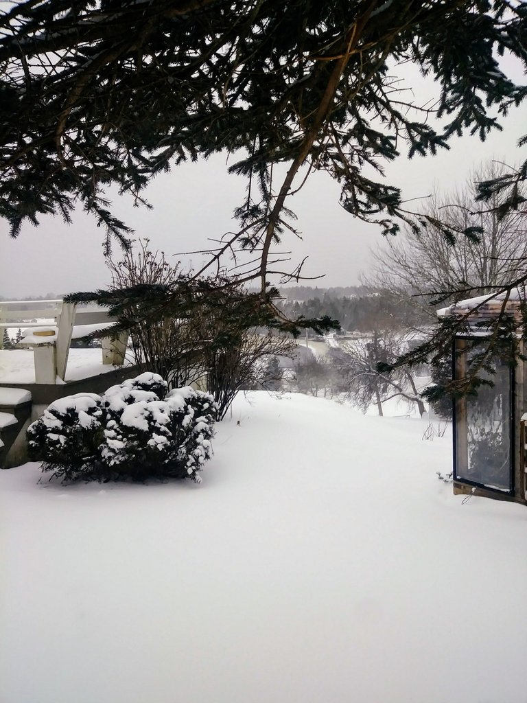 20180130_083150.jpg